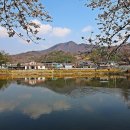 외입석 이미지