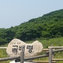 9/7 토요-&#34;야생화의 천국&#34; 설악산 점봉산,곰배령 트레킹 안내 이미지