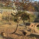 카페융가비