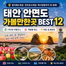 김혜은박사힐링팜 | 태안 안면도 가볼만한곳 BEST 12｜계절별 명소·맛집·1박2일 코스 총정리