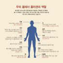 강남퍼스트약국
