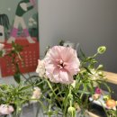 혜자농장 이미지