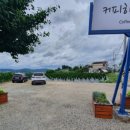 커피하우스117 이미지