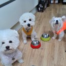 하림주유소 이미지