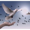 햇살로행정사 이미지