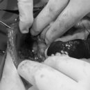 그랜드24시동물병원 이미지