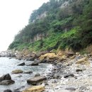 제주 서귀포층 패류화석 산지 이미지