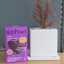 구미당 | 소휘 푸룬구미 와디즈 1등 갓변템 프룬 젤리 꾸준히 먹은 후기