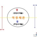 호성프라자약국 이미지