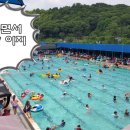 통일로 수영장 네이버블로그