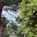 6/4(수) 용산가족공원&amp;국립중앙박물관 이미지