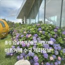 까페커피콩나무 | [홍성 비츠카페 내돈내산] 오션뷰와 예쁜 수국 정원이 있는 대형카페