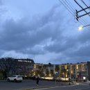 이호리조트 | 신라스테이 플러스 이호테우 :: 아름다운 바다뷰와 함께 호캉스 3박4일 후기