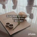 ➕ 마태복음 19:1~12 결혼에 담긴 하나님 뜻을 기억하십시오| 이미지