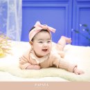 파파야스튜디오 네이버블로그