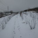 대강면 평촌마을 이미지