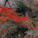 노고단-6 이미지