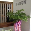 제주 소락 이미지