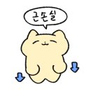 크로스핏 빌드업 이미지