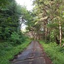 백1리마을회관 이미지