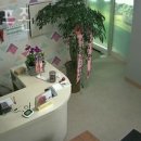 삼호 골프존 이미지