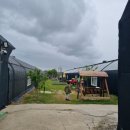 김포표고버섯농장 | 경기 김포 또바기 표고버섯 체험농장 버섯따기 아이랑 가볼만한곳 예약방법