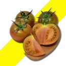 토마토 이미지