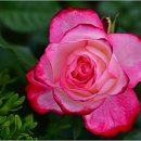 안산방사선과의원 이미지