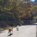 물통골 펜션가든 이미지