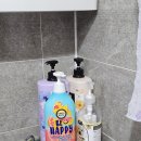 애견동반 밀양테마수영장 이미지