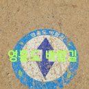 제154차 난계산악회 산행안내 이미지