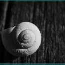 동대문한의원 이미지