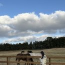 유인목장 이미지