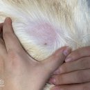 문수동물병원 이미지