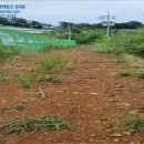 강진목장 이미지