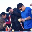 제15회 청송사과축제 이미지