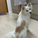 돌담과 초록 이미지