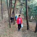 정임 - 유성구 대정로28번안길 25 | 정임