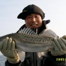 물쌍거리 이미지