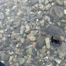 내서읍141 이미지