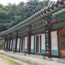 평평스테이 | 동해 삼화사 템플스테이 휴식형 1일차 후기(6월 초 방문)