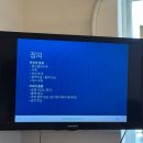 칠십리로 | 제주프리다이빙 디퍼프리다이브 해양프다 체험 후기