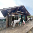 서쪽아이 이미지