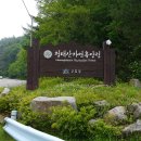 청태산자연휴양림 이미지