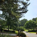 수풀산장 이미지