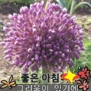 간추린 뉴스 이미지
