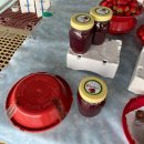 남포항 쌈지공원 | [여행] 밀양 벚꽃놀이부터 명소까지 봄맞이 당일여행코스