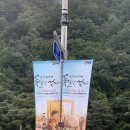 하늘꽃 | 강원도 하늘 내린 인제 가을꽃축제 후기