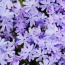 그린바다 이미지