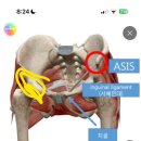 호루스에너지 | 시리우스 에너지 세션 후기 (1)